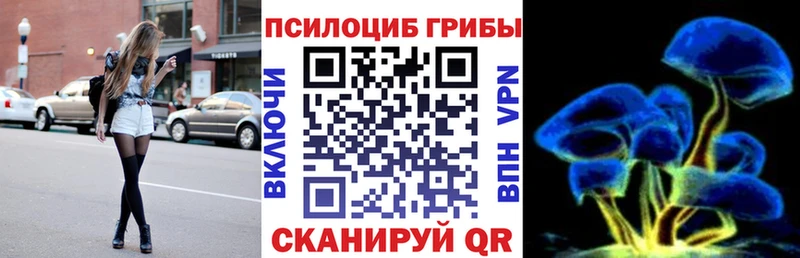 Галлюциногенные грибы Psilocybe  Белоярский 
